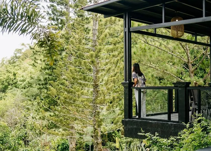 Grey Rock Mountain W/ Private Pool & Jacuzzi
